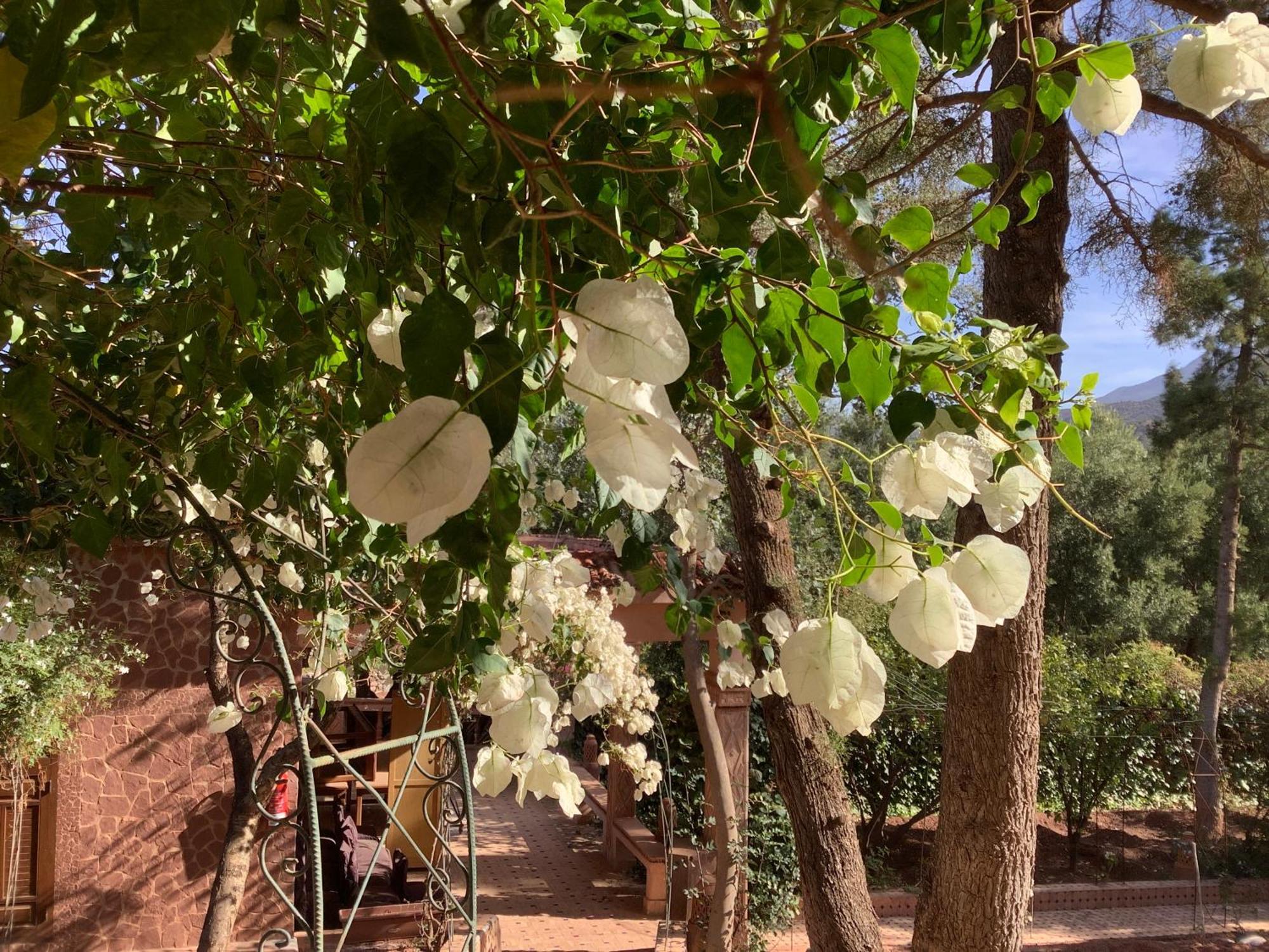 Dar Arraha Ouirgane Hotel Luaran gambar